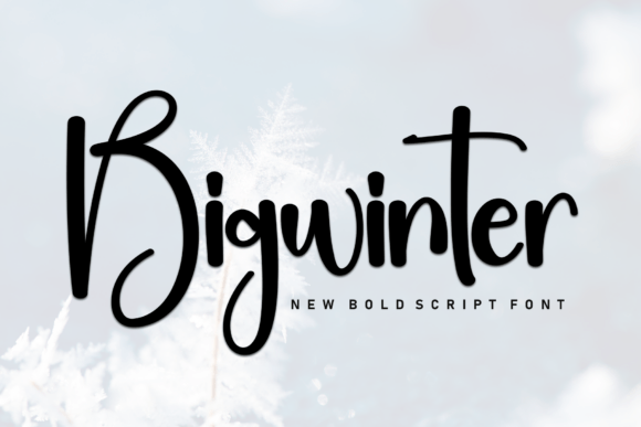 Bigwinter Font for Friendly, Bold Digital Branding