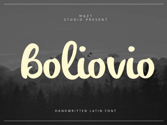 Boliovio: The Elegant Typeface for a Professional Brand