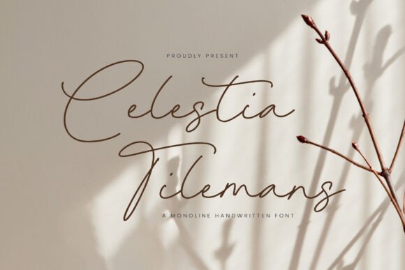 Choosing Celestia Tilemans for a Modern Portfolio Website