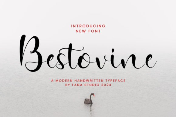 Why I Keep Returning to Bestovine for Brand Identity Work